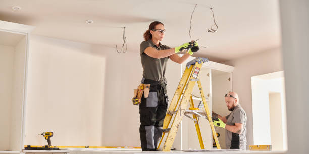 Best Electric Panel Repair  in Cienegas Terrace, TX